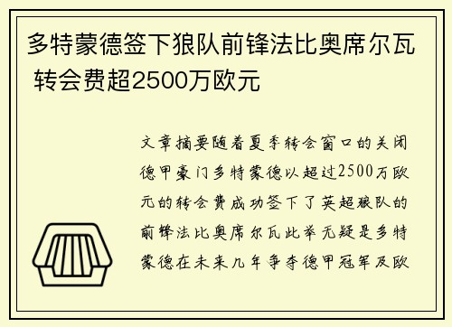 多特蒙德签下狼队前锋法比奥席尔瓦 转会费超2500万欧元